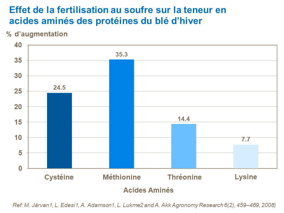 ▷ Quelle est la teneur en Protéines du Bœuf ? 【2024 】