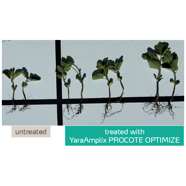 procote optimize in soybean