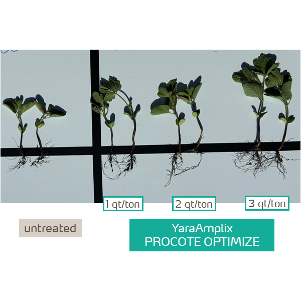 procote optimize on soybeans