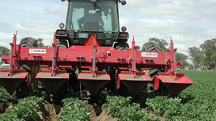 Un Convoyeur à Courroie De Pomme De Terre Transporte Des Pommes De Terre  Dans Un Réservoir De Semoir Tracteur. Closeup. Clips Vidéos - Vidéo du  traitement, patate: 287191715