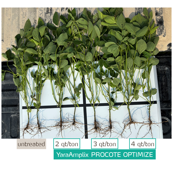 procote optimize on soybeans