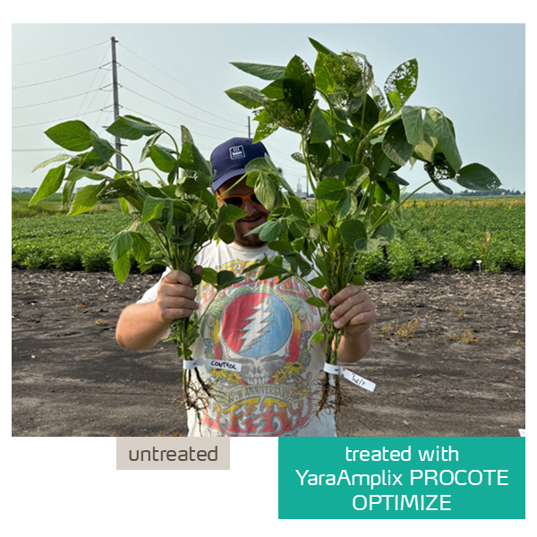 procote optimize in soybeans